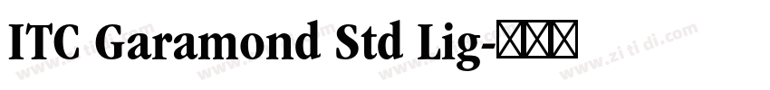 ITC Garamond Std Lig字体转换